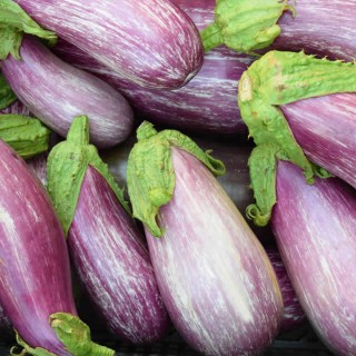 Aubergine Listada de Gandia - erfgoedzaad