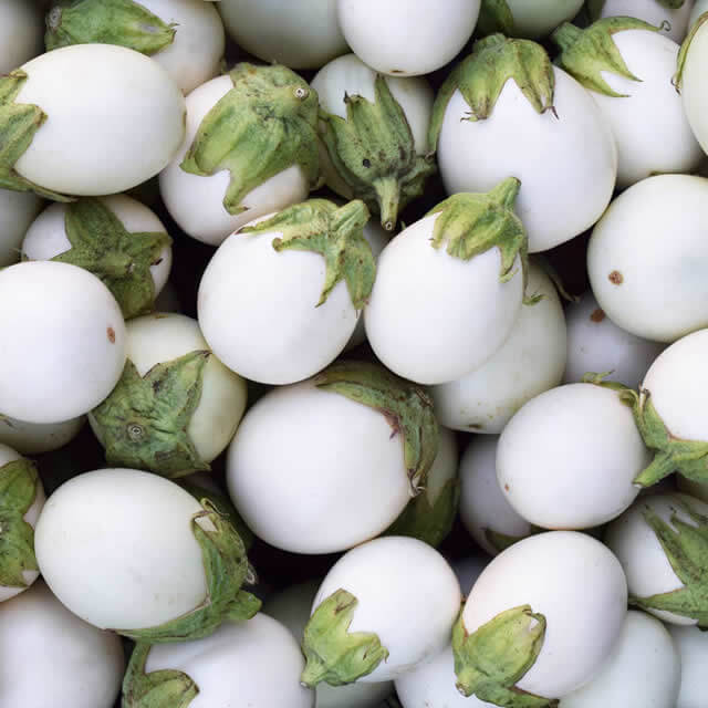 Eggplant White Egg - Seed