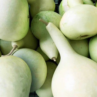 Kalebas Birdhouse - erfgoedzaad