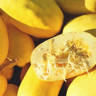 Pompoen Spaghetti - erfgoedzaad