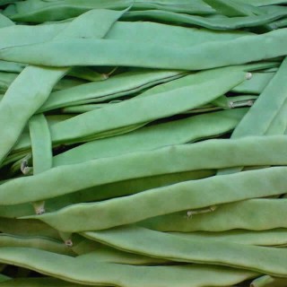 Stoksnijboon Helda - erfgoedzaad 