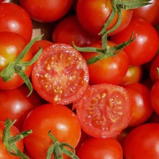 Tomaat Mexicaans honing - erfgoedzaad