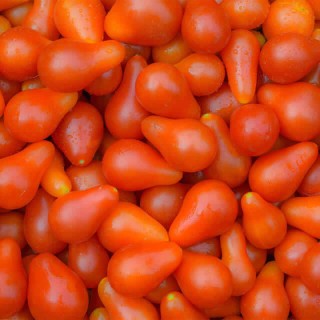 Tomaat Red Pear - erfgoedzaad