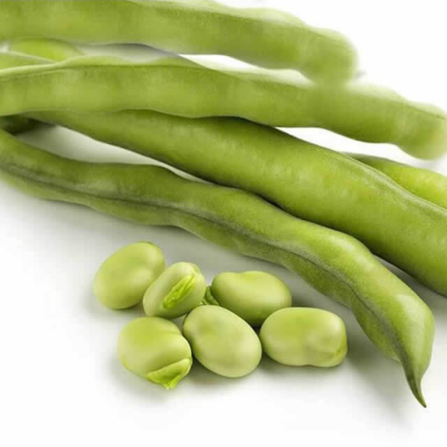 Broad bean Super Aguadulce - Seed