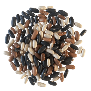 Struikbonen Trio de Haricots - Zaad