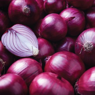 Onion Red Baron - Seed
